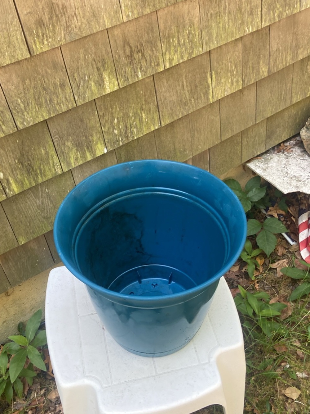 Large Blue Plastic Planter Pot